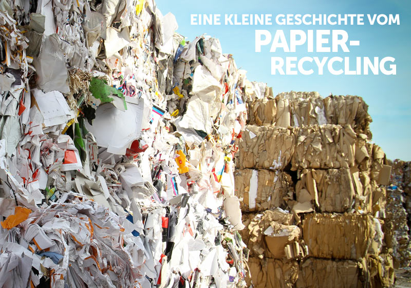 Recyclingpapier schützt Wald und Klima