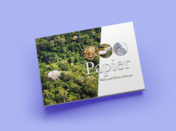 Broschüre "Papier - Wald und Klima schützen" kostenfrei anfordern!