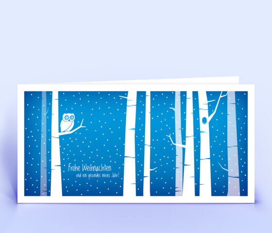 Öko Weihnachtskarte Nr. 1396 blau mit Illustration einer Eule zeigt eine ausgefallene Gestaltung.