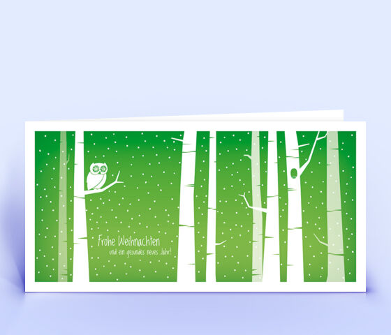 Öko Weihnachtskarte Nr. 1402 gruen mit Illustration einer Eule ist mit einem exklusiven Kartendesign versehen.
