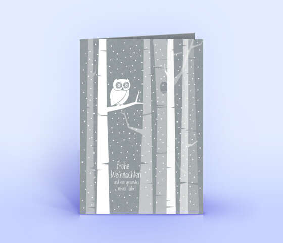 Weihnachtskarte mit Eule auf grauem Design-Karton 1405
