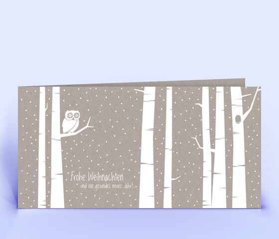 Öko Weihnachtskarte Nr. 1408 grau mit einer Eule im Design zeigt ein ausgefallenes Weihnachtsdesign.