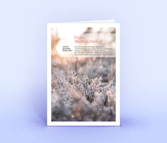 Weihnachtskarte "Eisiger Sonnenaufgang" 5941