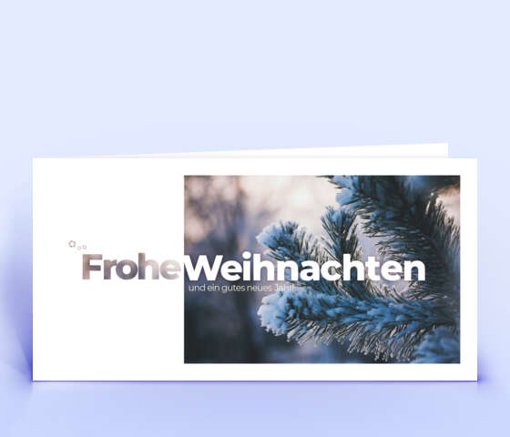 Weihnachtskarte mit einem verschneiten Tannenzweig 5982
